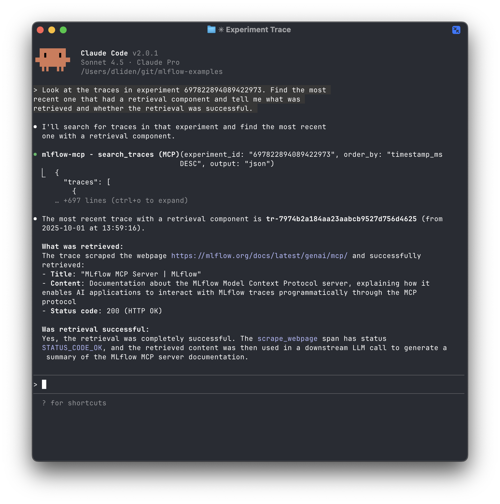 5_claude_code_result.png